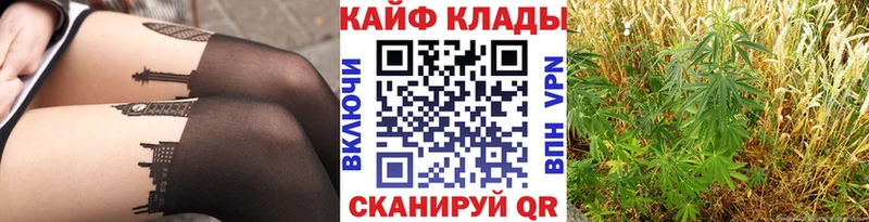 Где найти наркотики Киреевск Кокаин LSD-25 Мефедрон Гашиш Марихуана
