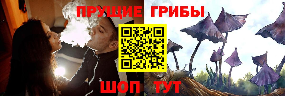Псилоцибиновые грибы MAGIC MUSHROOMS  Галлюциногенные грибы MAGIC MUSHROOMS  Вход с VPN  Киреевск 